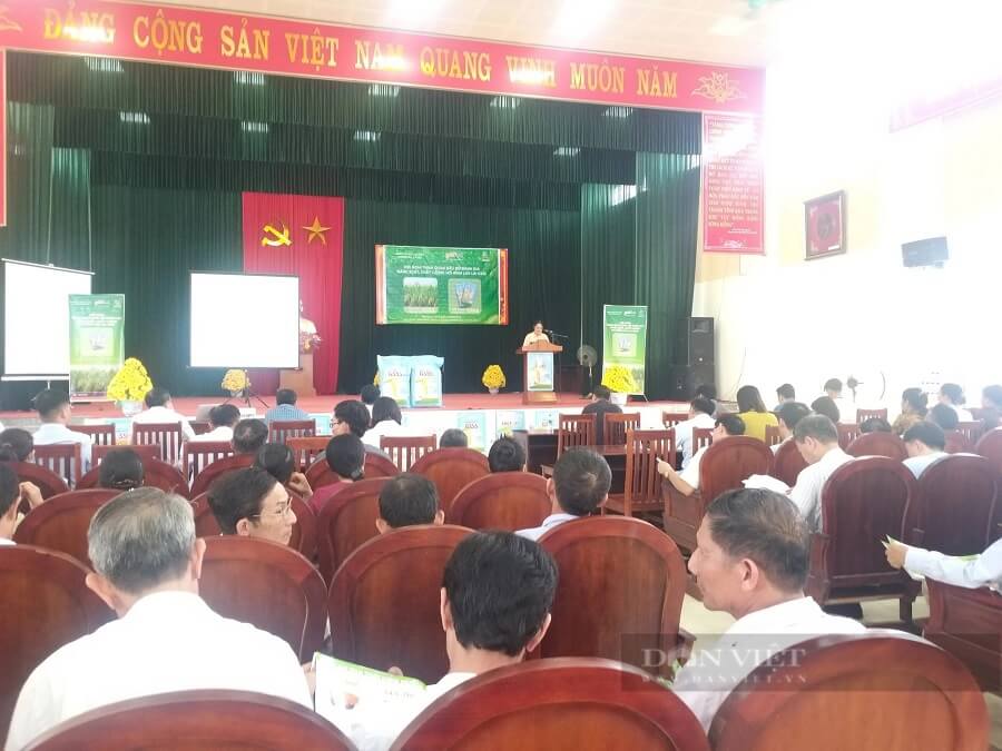 Hội nghị tham quan đầu bờ đánh giá năng suất, chất lượng mô hình lúa lai GS55 ngày 8/5 tại xã Gia Lạc, huyện Gia Viễn (Ninh Bình) thu hút nhiều đại biểu tham gia.