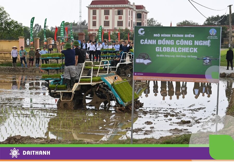 Mô hình cánh đồng công nghệ nhận được nhiều sự quan tâm từ lãnh đạo trung ương đến địa phương