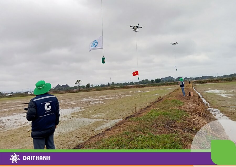 Đại Thành bay drone nông nghiệp chào đón đoàn đại biểu FAO và Bộ Nông nghiệp