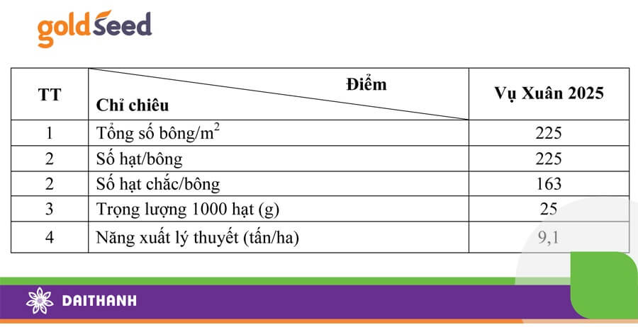 Giống lúa GS55 tại Yên Định cho tới 9,1 tấn/ha