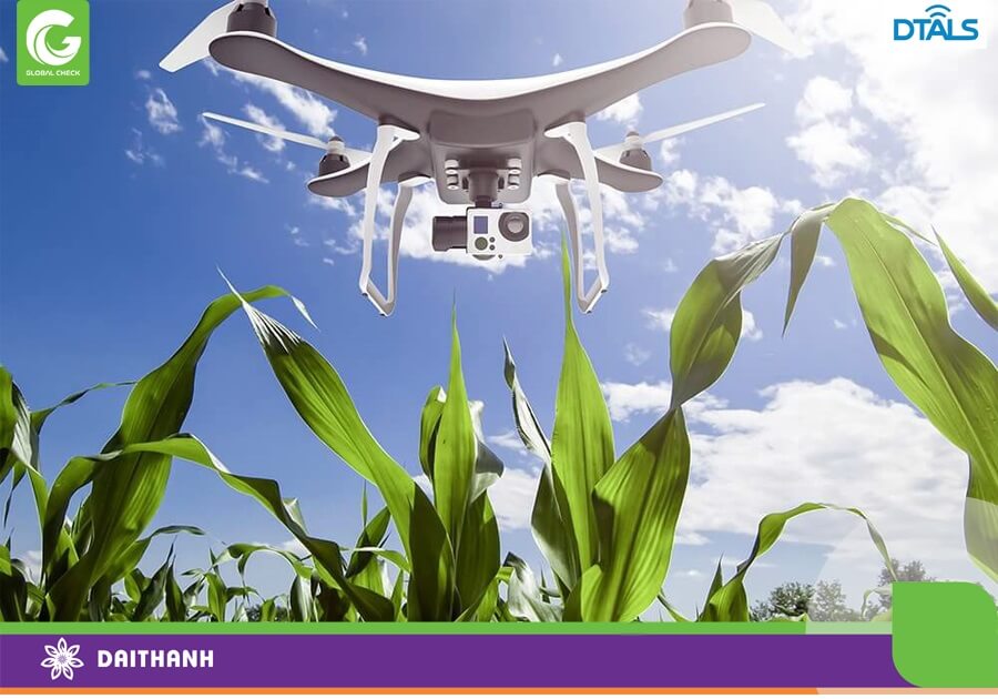 Ở những nước phát triển sử dụng drone giám sát nông nghiệp là rất phổ biến