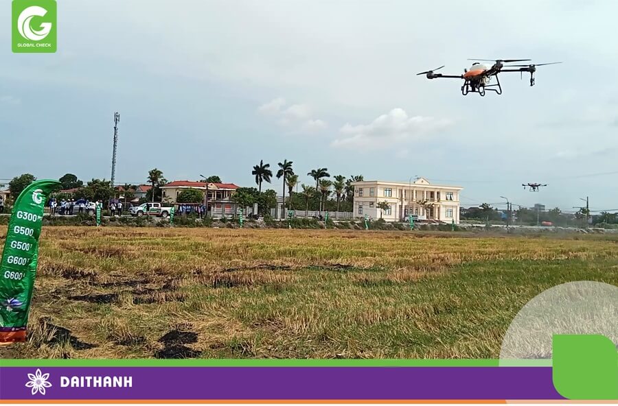 Đại Thành trình diễn 2 chiếc drone nông nghiệp tại cánh đồng trước UBND xã Yên Thắng