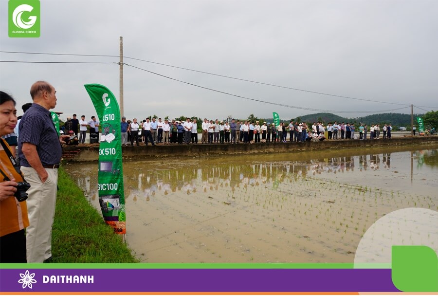 Trình diễn thực địa nhận được nhiều sự quan tâm của bà con và lãnh đạo Nông nghiệp TP Hải Phòng