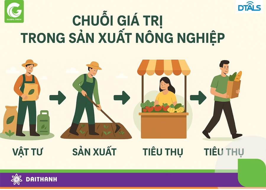 Chuỗi giá trị sản xuất nông nghiệp giúp giảm thiểu rủi ro, phát triển nông nghiệp bền vững