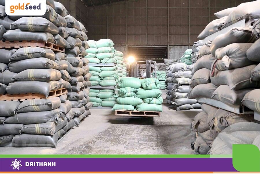 Bảo quản tốt giúp hạn chế tối đa nấm mốc, nâng cao chất lượng thóc