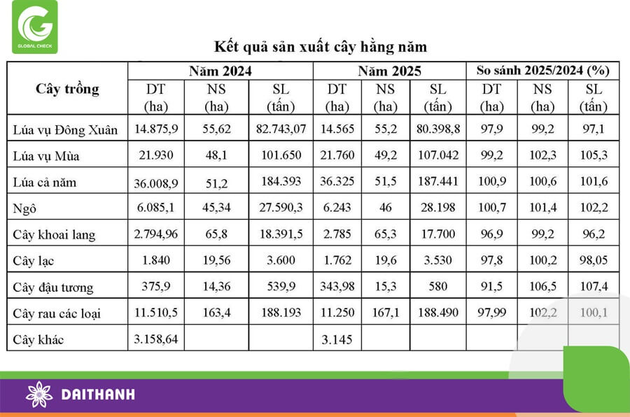 Kết quả sản xuất cây hàng năm trong các năm 2024 và đầu năm 2025
