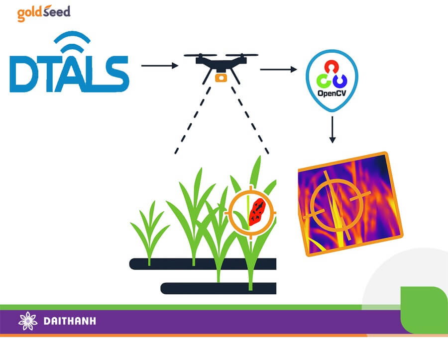 AI sẽ giúp chúng ta theo dõi tình trạng sức khỏe cây trồng tự động