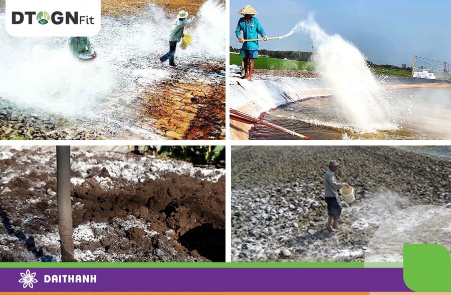 Vôi được sử dụng rất nhiều trong nông nghiệp