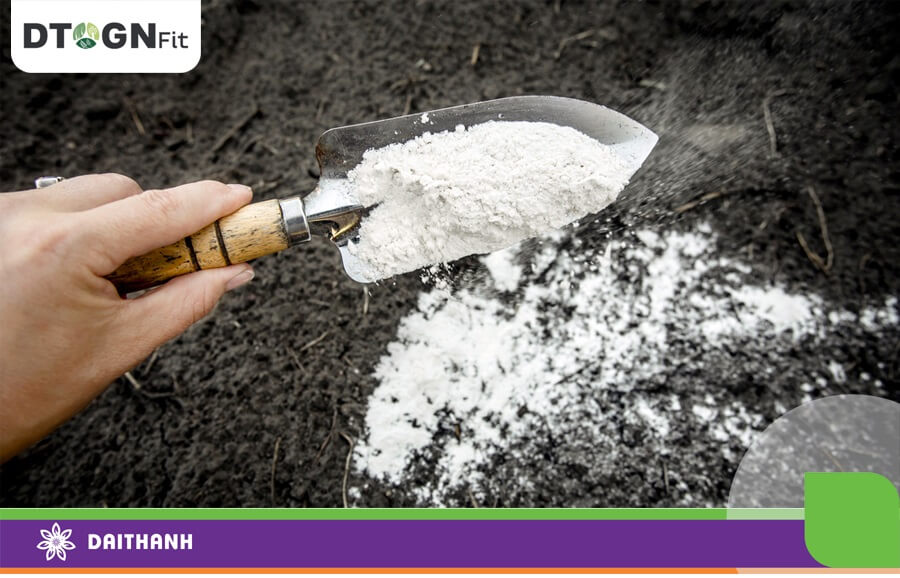 Hiệu quả vôi là rất lớn, nhưng chúng ta không nên lạm dụng Vôi