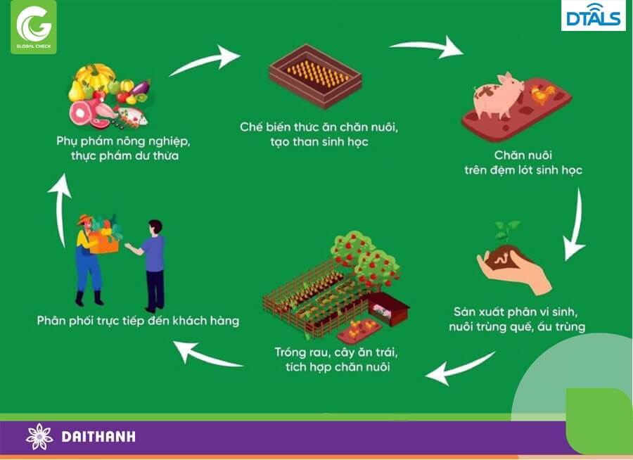 Nông nghiệp tuần hoàn là lời giải cho nền nông nghiệp bền vững