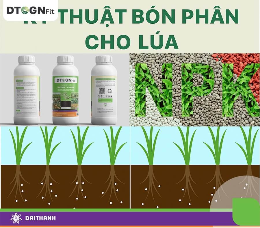 Phân bón hữu cơ vi sinh đang dần thay thế phân bón vô cơ