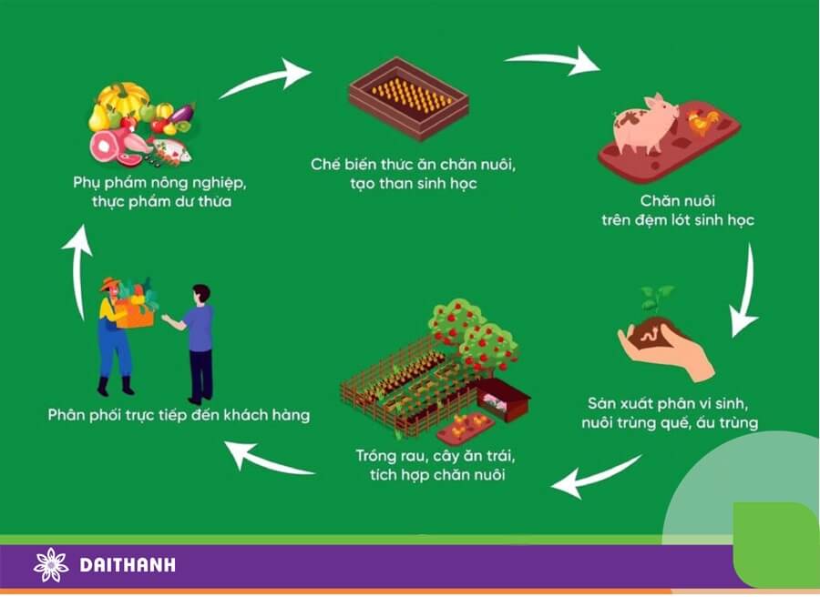 Nông nghiệp tuần hoàn không chỉ giúp tăng hiệu quả kinh tế mà còn bảo vệ môi trường