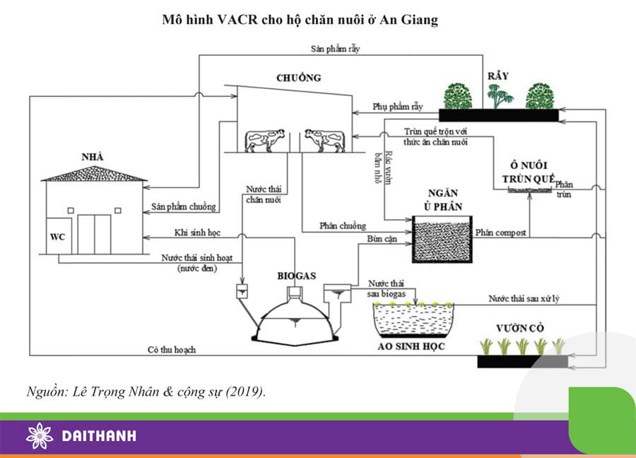 Một mô hình nông nghiệp tuần hoàn quy mô lớn cho các bà con