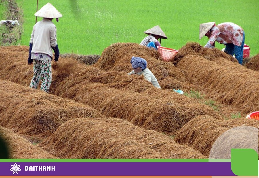 Tận dụng đầu ra của nhau giúp tăng hiệu quả và giảm phát thải