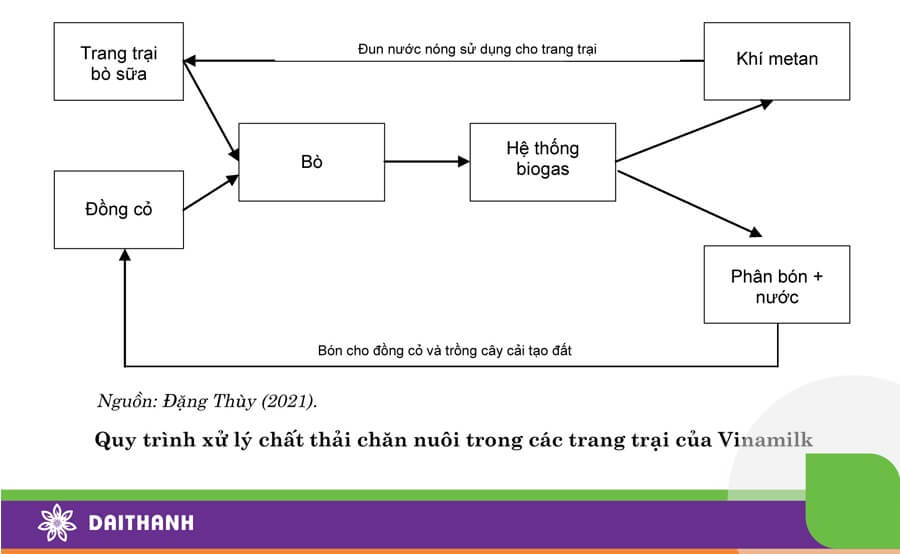 Mô Hình Nông Nghiệp Tuần Hoàn Trong Chăn Nuôi Vinamilk