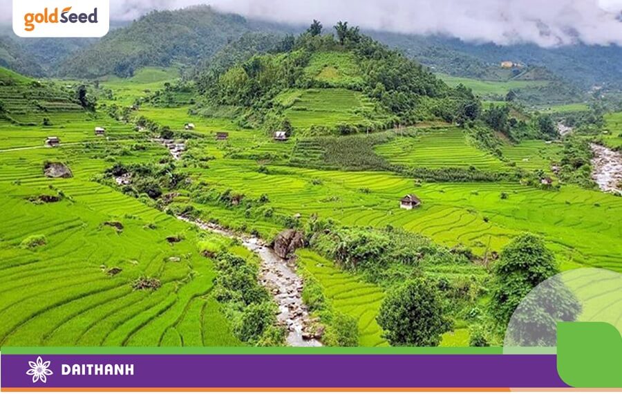 Khu vực thung lũng, nếu cải tạo đất tốt đất feralit hoàn toàn có thể trồng lúa