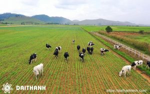 lợi thế và khó khăn nông nghiệp hữu cơ ở việt nam