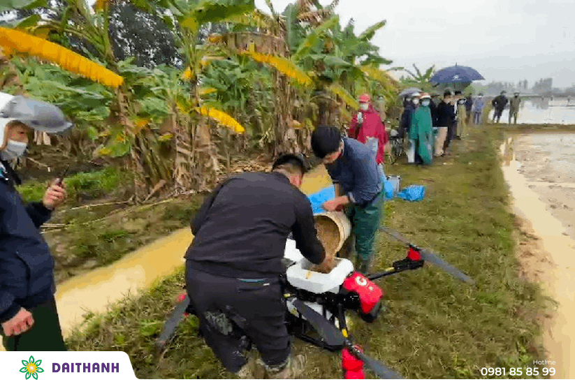 Sạ lúa Xuân-Mô hình ứng dụng toàn diện máy bay phun thuốc tại Bắc Ninh 11