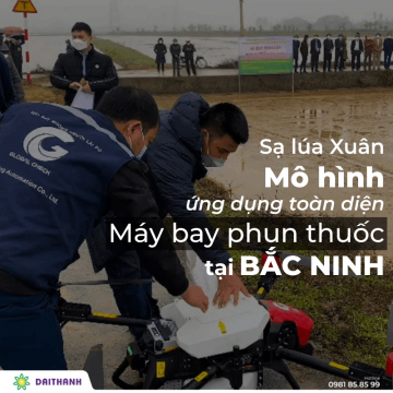 Sạ lúa Xuân-Mô hình ứng dụng toàn diện máy bay phun thuốc tại Bắc Ninh