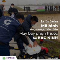 Sạ lúa Xuân-Mô hình ứng dụng toàn diện máy bay phun thuốc tại Bắc Ninh