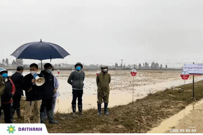 Sạ lúa Xuân-Mô hình ứng dụng toàn diện máy bay phun thuốc tại Bắc Ninh 10