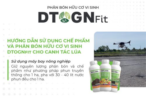 Hướng dẫn sử dụng chế phẩm và phân bón hữu cơ vi sinh DTOGNfit cho canh tác lúa 9