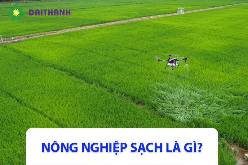 Nông nghiệp sạch là gì? Lợi ích & phương hướng phát triển tại Việt Nam?