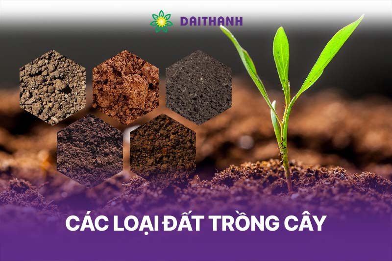 các loại đất trồng cây