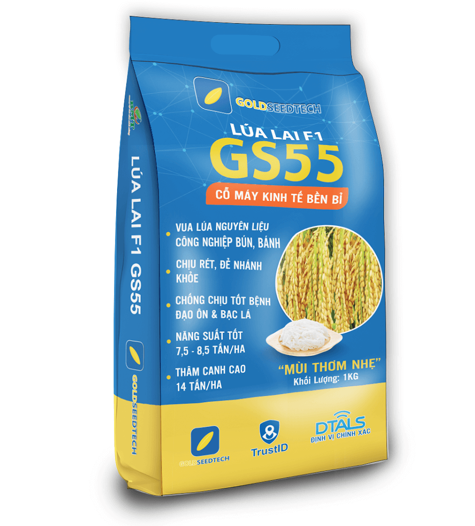Lúa lai F1-GS55