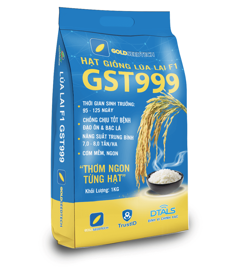Giống lúa lai F1-GSt999