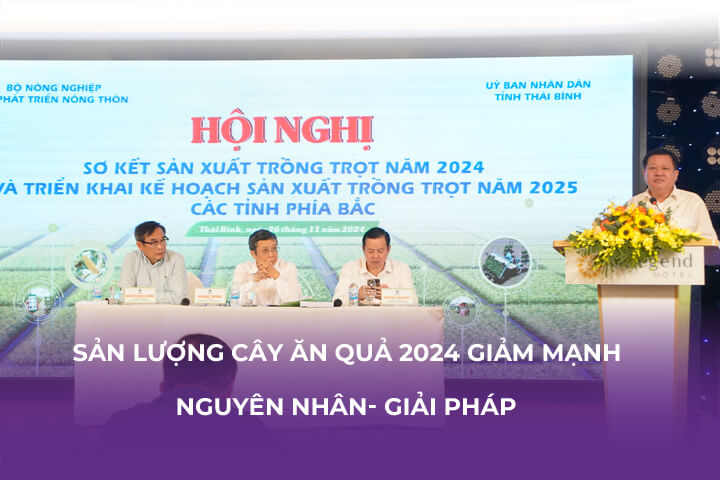 Sản Lượng Cây Ăn 2024 Quả Giảm Mạnh, Nguyên Nhân Và Giải Pháp?