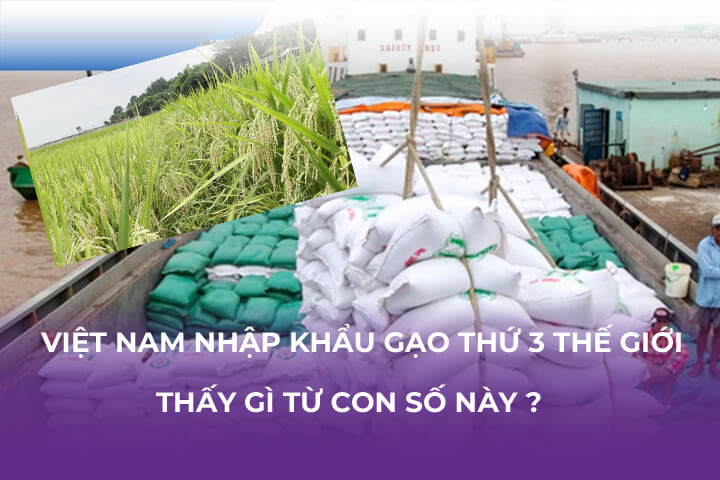 Việt Nam Nhập Khẩu Gạo Thứ 3 Thế Giới-Thấy Gì Từ Con Số Này?