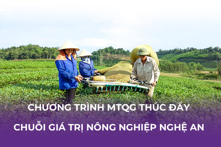 Chương Trình MTQG Thúc Đẩy Chuỗi Giá Trị Nông Nghiệp Nghệ An