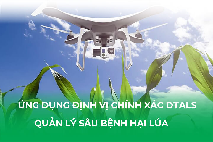 Ứng Dụng Định Vị Chính Xác DTALS Trong Quản Lý Sâu Bệnh Hại Lúa