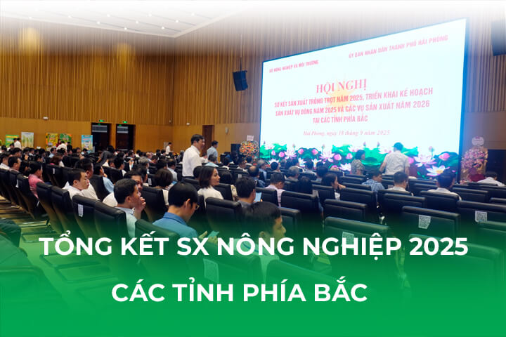 Tổng Kết Sản Xuất Nông Nghiệp 2025 Các Tỉnh Phía Bắc Tại Hải Phòng