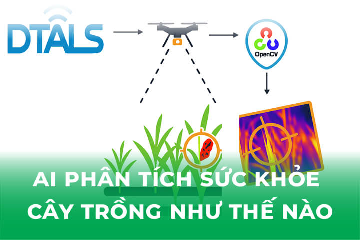 AI Giúp Phân Tích Sức Khỏe Cây Trồng Như Thế Nào