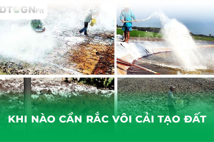 Khi Nào Cần Rắc Vôi Cải Tạo Đất