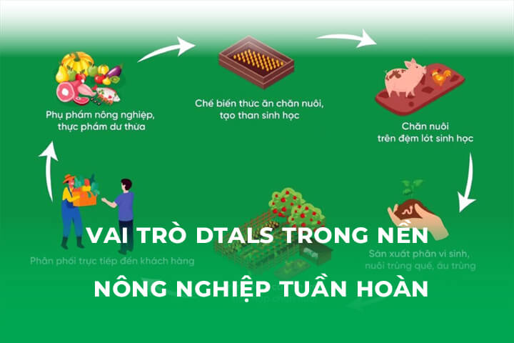 Vai Trò DTALS Trong Nền Nông Nghiệp Tuần Hoàn